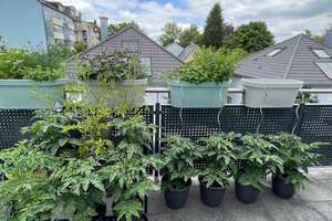 Hochwertige Wohnung mit toller, 18,8 m² Dachterrasse zur Gartenseite – Die vollständige Adresse der Immobilie erhältst du vom Anbieter., 80686 St. Ulrich, München – Vorschaubild 12