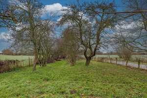 Doppelhaushälfte in ruhiger Lage mit ca. 2000 m² Gartenland – Legbank 2, 24256 Plön (Kreis) – Vorschaubild 25