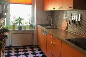 Neudorf Uni-Nähe, Wohnung (2Zi.KDB), mit sonniger Terrasse, Garten und Gartenhaus, renoviert – Sternbuschweg 4, 47057 Duissern, Duisburg – Vorschaubild 15