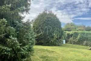 Reihenendhaus in ruhiger Wohnlage von Ebstorf – Uelzen (Kreis) – Vorschaubild 30