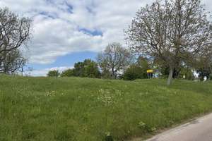 Einfamilienhaus am Deich mit großem Garten, Garage & Klimaanlage – Herzhorn  – Am Deich 9, 25379 Herzhorn – Vorschaubild 10