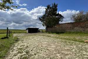 Zweifamilienhaus, Stallungen und Platz zur Pferdehaltung, hier können Träume umgesetzt werden – Potsdam-Mittelmark (Kreis) – Vorschaubild 25
