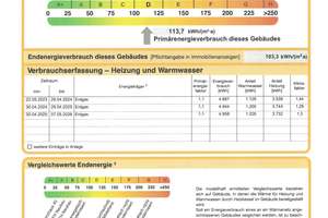 Familienhaus in Rheinnähe in begehrter Siedlung von Lörick mit separater Einheit – 40547 Lörick, Düsseldorf – Vorschaubild 34