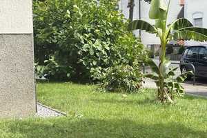 Property thumbnail 28