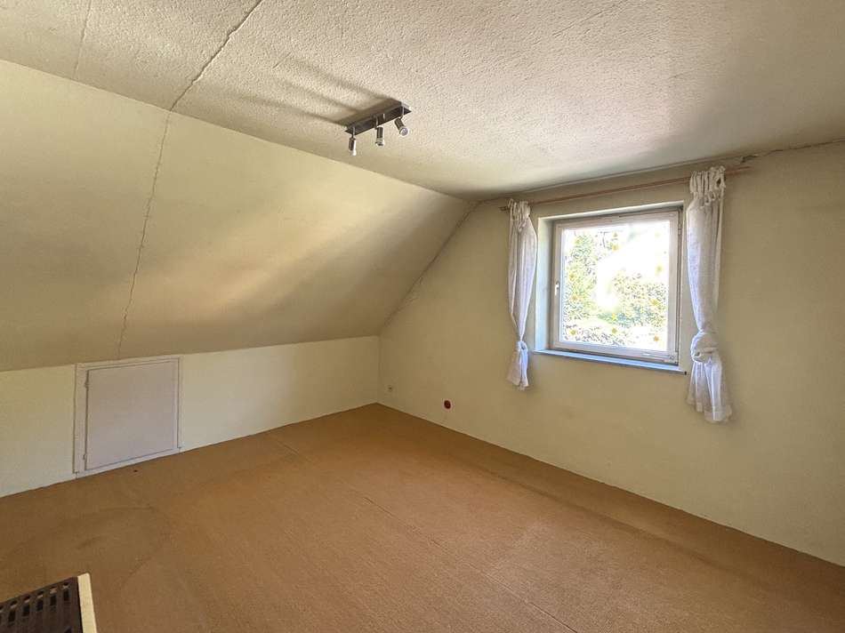 Zimmer DG