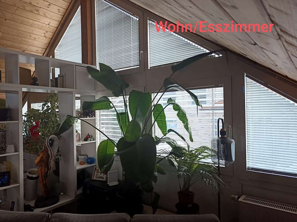 Wohnzimmer DG