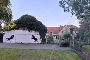 Tiere Willkommen! Der" Martinshof" 2.0 - Ein Anwesen im Landhausstil am Heiligen Meer in Hopsten ! – Kleines-Meer-Str. 5, 48496 Steinfurt (Kreis) – Vorschaubild 6