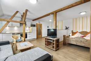 Küstennaher Reiterhof mit Reithalle und 5 Ferienwohnungen plus 7 ha. Land – Friesland (Kreis) – Vorschaubild 26