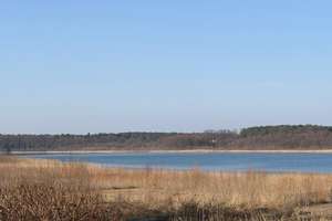 Property thumbnail 75