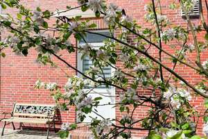 Geräumiges Mehrfamilienhaus mit vielen Nutzungsmöglichkeiten in Dornum – Die vollständige Adresse der Immobilie erhältst du vom Anbieter., 26553 Dornum – Vorschaubild 4