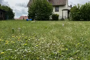 Einfamilienhaus mit Garten und Gartenhäuschen auf dem Land – Coburg (Kreis) – Vorschaubild 5