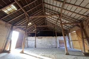 Mehrfamilienhaus mit Potenzial – Kapitalanlage & Lebens(t)raum mit PV-Anlage und Ausbaureserve – Die vollständige Adresse der Immobilie erhältst du vom Anbieter., 14913 Niedergörsdorf – Vorschaubild 17