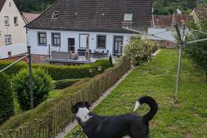 Familien Freundliches Einfamilienhaus in Top-Lage von Weidenthal – Bad Dürkheim (Kreis) – Vorschaubild 23