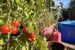 Property thumbnail 13