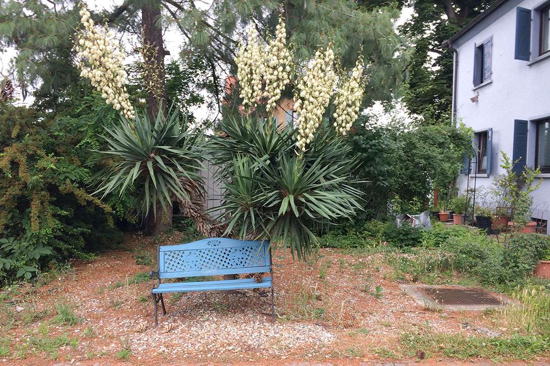 1-3-Parteienhaus mit vielseitigen Nutzungsmöglichkeiten, Speyer – Bild 4