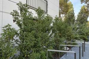 Exklusive 5-Zimmer-Neubauwohnung am Oberen Luisenpark – Erstbezug mit Blick ins Grüne – 68165 Schwetzingerstadt/Oststadt, Mannheim – Vorschaubild 23