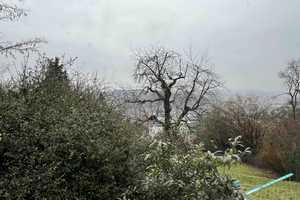 Plochingen-Musikerviertel: EFH + großes teilbares Baugrundstück für weitere 3-4 EFH, Aussichtslage – Esslingen (Kreis) – Vorschaubild 8