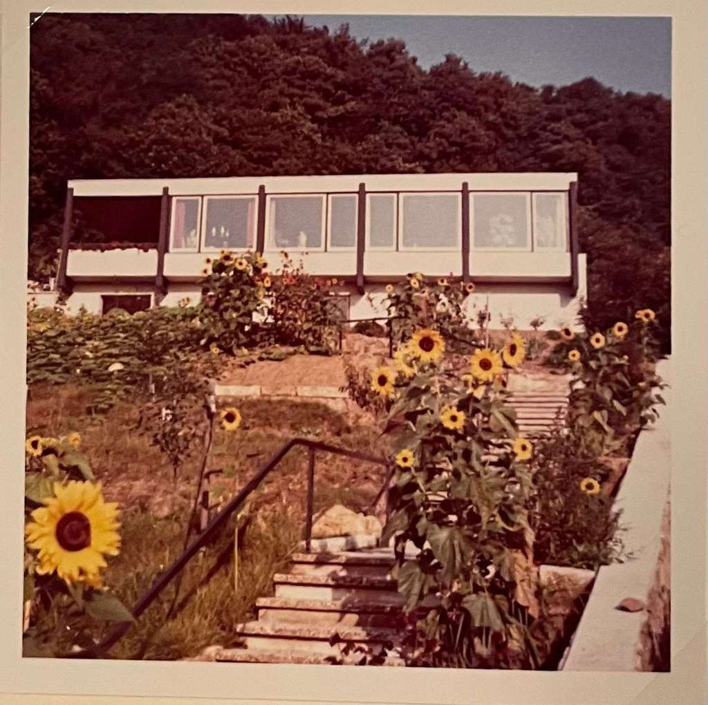 Immobilie in Bad Dürkheim - Wenn Sie das Beste suchen. - Bild 0