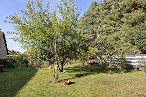 Schönes freistehendes Haus mit großem Garten - Guhrow / Spreewald – 3096 Guhrow – Vorschaubild 21