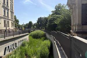 Direkt am Elstermühlgraben - Tolle 4 Zi.-Whg. mit Balkon, Terrasse, kleiner Gartenanteil - vermietet – Die vollständige Adresse der Immobilie erhältst du vom Anbieter., 4109 Zentrum-West, Leipzig – Vorschaubild 4