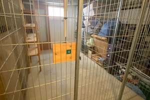 Lebendig wohnen: 2-Zimmer-Wohnung mit Balkon in Ingolstadt NordOst – Die vollständige Adresse der Immobilie erhältst du vom Anbieter., 85055 Nordost, Ingolstadt – Vorschaubild 7