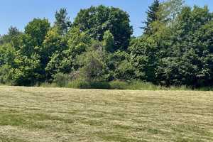 Exklusive Villa auf einmaligem Traumgrundstück – Augsburg – Vorschaubild 7