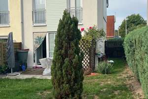 Einfamilienhaus zur Miete, toller Fernblick, kleiner Garten – Gert-Fröbe-Str. 29, 8064 Oberplanitz, Zwickau – Vorschaubild 7