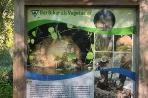 KAPITALANLAGE MIT VIEL POTENTIAL  . 4.0 % RENDITE .  WALD . SEEN . KUDAMM – Die vollständige Adresse der Immobilie erhältst du vom Anbieter., 14055 Westend, Berlin – Vorschaubild 14