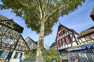 Ihr Projekt in der Altstadt – Handwerkliches Potenzial in Erpel – Neuwied (Kreis) – Vorschaubild 3