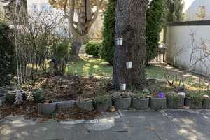 Property thumbnail 23