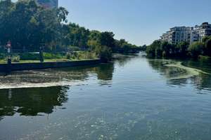 +++Moderne 2-Zimmer-Wohnung mit Südwestbalkon an der Spree+++ – Dovestraße 11, 10587 Charlottenburg, Berlin – Vorschaubild 15