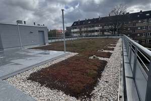 Einzigartiges Penthaus mit  330 qm Dachgarten im Herzen der Südstadt – Die vollständige Adresse der Immobilie erhältst du vom Anbieter., 30171 Südstadt, Hannover – Vorschaubild 10