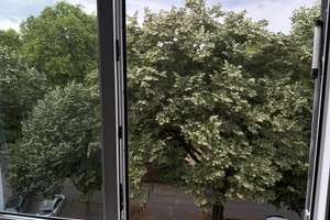 Frisch sanierte 4-Zimmer (WG-)Wohnung - Rat-Beil-Str. 25, Frankfurt - direkt neben FH-Frankfurt! – 60318 Nordend-West, Frankfurt am Main – Vorschaubild 11