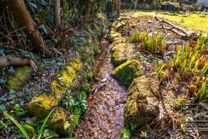 Kleines Refugium im Grünen – Ihr persönlicher Rückzugsort mit Gartenidylle – Die vollständige Adresse der Immobilie erhältst du vom Anbieter., 66996 Schönau (Pfalz) – Vorschaubild 24