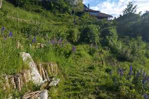 Seminarhaus mit traumhaften Belchenblick: 2-Familienhaus mit grossem Garten in Elbenschwand – Elbenschwander Ortsstraße 9, 79692 Lörrach (Kreis) – Vorschaubild 71