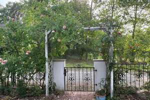In einzigartiger Lage: Freistehndes Einfamilienhaus mit großem Rosen/Obstbaumgarten + Carport/Garage – Die vollständige Adresse der Immobilie erhältst du vom Anbieter., 14089 Kladow, Berlin – Vorschaubild 28