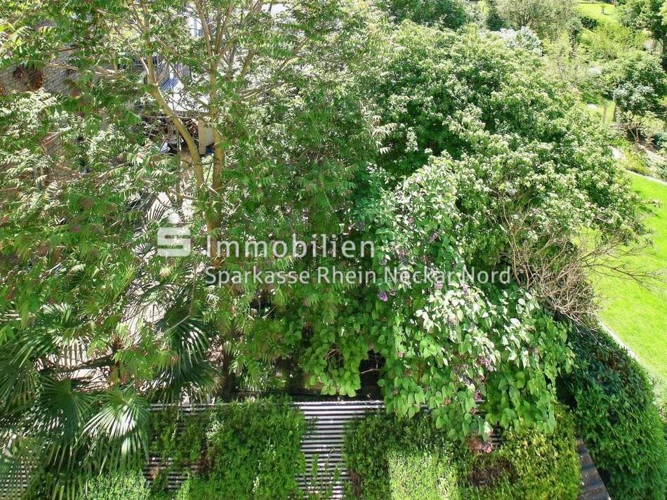 Blick vom Wintergarten aus