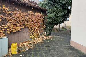 Wohn- und Geschäftshaus in zentraler Lage von Stammheim – Korntaler Straße 51, 70439 Stammheim-Süd, Stuttgart – Vorschaubild 7