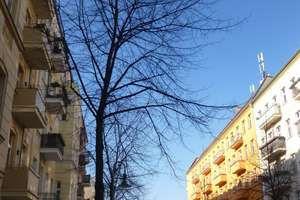 GELEGENHEIT wunderschöne Wohnung mit Balkon und Lift !!! – Die vollständige Adresse der Immobilie erhältst du vom Anbieter., 10247 Friedrichshain, Berlin – Vorschaubild 2