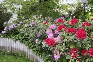 Property thumbnail 22