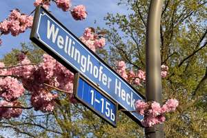 Frisch renovierte 85 m² warten aus Sie! , 3. Zimmer, Küche, Bad, Gäste WC u.  Balkon Do-Wellinghofen – Wellinghofer Hecke 12, 44265 Wellinghofen, Dortmund – Vorschaubild 5