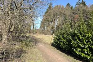 Hagen im Bremischen: ruhiges, voll vermietetes Zweifamilienhaus mit Garten & Spazierwegen direkt vor – Die vollständige Adresse der Immobilie erhältst du vom Anbieter., 27628 Hagen im Bremischen – Vorschaubild 10