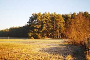 Stilvoll Leben umgeben von Wald, Feld und Wasser-ein einzigartiges Haus am Voßkanal – Oberhavel (Kreis) – Vorschaubild 15