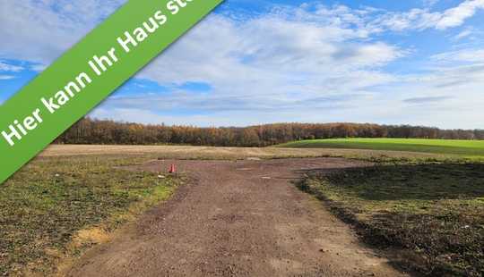 Bild von Inkl. Grundstück, das flexible Massivhaus "FürDich" in Harbke.