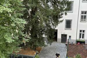 Stilvoll sanierte Altbauwohnung - provisionsfrei direkt vom Eigentümer – Die vollständige Adresse der Immobilie erhältst du vom Anbieter., 13347 Wedding, Berlin – Vorschaubild 2