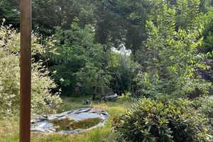 EFH mit großem Grundstück in Haltern am See! – Recklinghausen (Kreis) – Vorschaubild 9