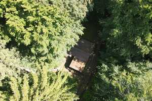 Haus im Wald – Harburg (Kreis) – Vorschaubild 8