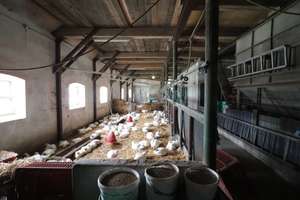 Historisches Bauernhaus auf 3.240 m² in idyllischer Lage in Lübeck – Die vollständige Adresse der Immobilie erhältst du vom Anbieter., 23560 Sankt Jürgen, Lübeck – Vorschaubild 13