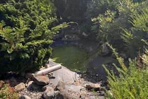 Walmdachbungalow mit 5 Zimmern und Vollkeller in bevorzugter Lage – Rendsburg-Eckernförde (Kreis) – Vorschaubild 38