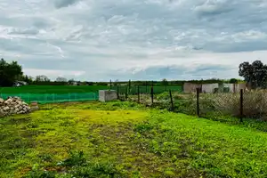 entkerntes Einfamilienhaus in Rathmannsdorf – Salzlandkreis – Vorschaubild 5